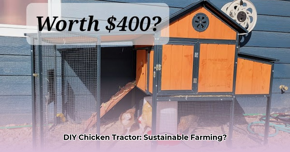 large-chicken-coop-tractor-supply